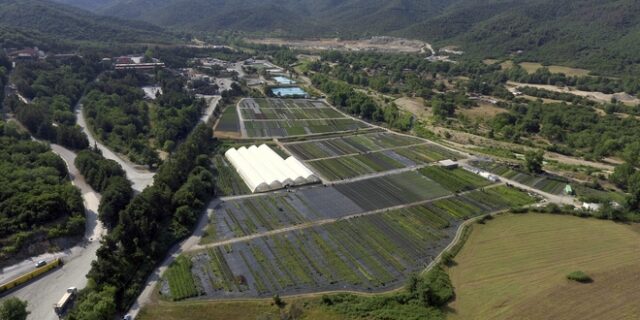 Ελληνικός Χρυσός: η στρατηγική Βιωσιμότητας της μεγαλύτερης μεταλλευτικής εταιρείας στην Ελλάδα