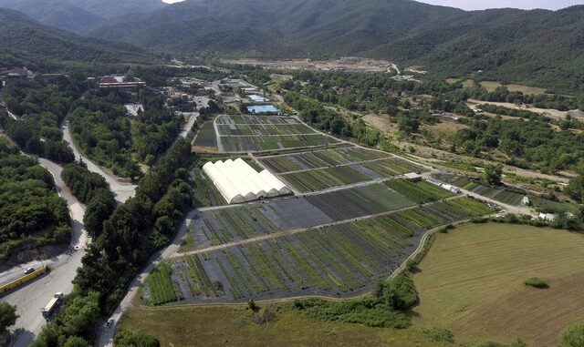 Η στρατηγική βιωσιμότητας της Ελληνικός Χρυσός