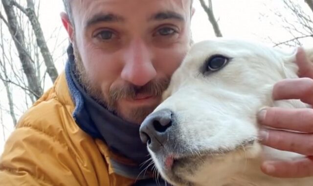 Βρήκε σκύλο που αγνοούνταν 10 μέρες στο δάσος με τη βοήθεια drone