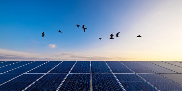 Sustainability στην ενέργεια: Το φωτεινό παράδειγμα της Protergia
