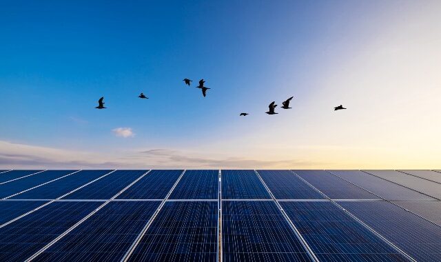 Sustainability στην ενέργεια: Το φωτεινό παράδειγμα της Protergia