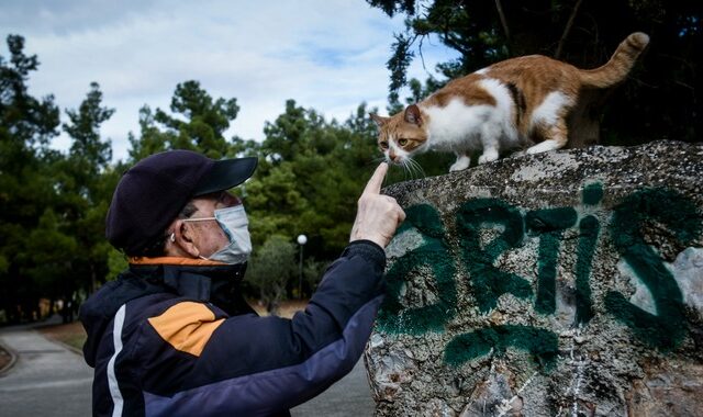 Ο κ. Γιάννης στέλνει 6 και βγάζει βόλτα τη γάτα του, τη Λάντα