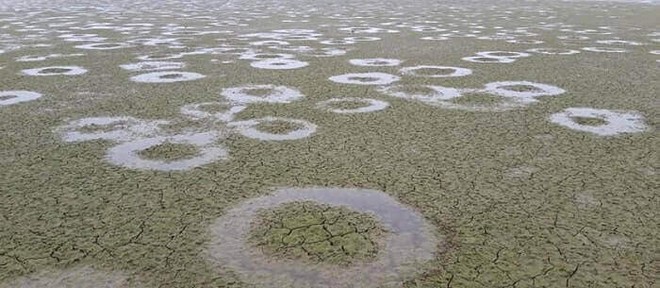 Μυστήριο στη λίμνη Κερκίνη: Εκατοντάδες τέλειοι κύκλοι στον πυθμένα