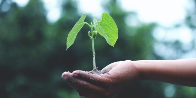 Η πανδημία ως «επιταχυντής» για τη βιώσιμη ανάπτυξη