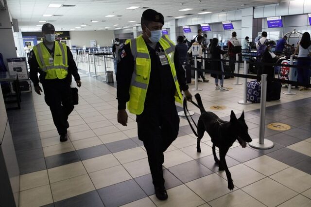 ΗΠΑ: ”Ζώα βοήθειας” στις αεροπορικές μόνο οι σκύλοι