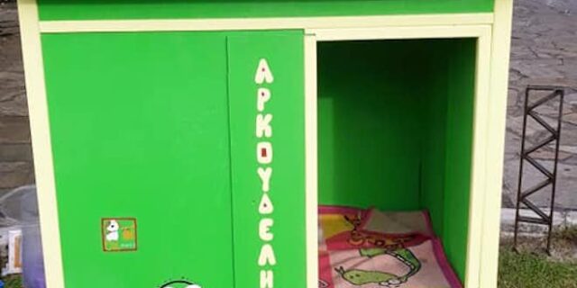 Σπίτι φτιαγμένο στα μέτρα του, για αδέσποτο σκύλο της πόλης, εγκατέστησαν φιλόζωοι