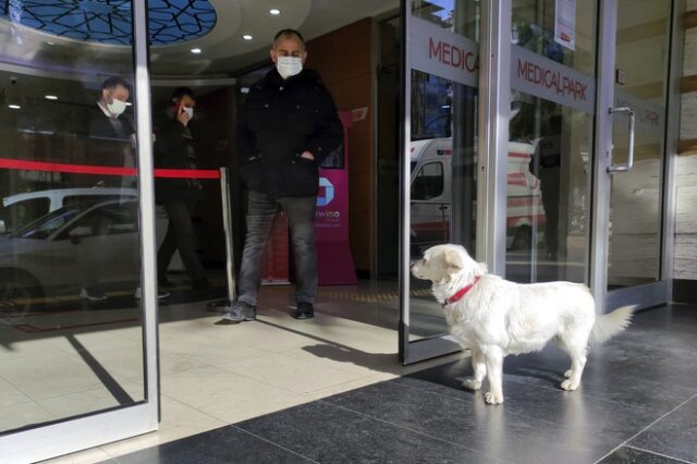 Τουρκία: Σκύλος περίμενε επι 5 μέρες τον ιδιοκτήτη του έξω απο νοσοκομείο