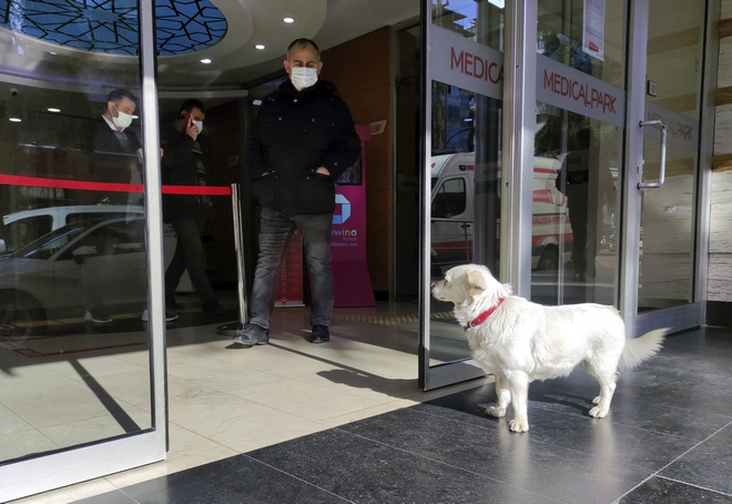 Τουρκία: Σκύλος περίμενε επι 5 μέρες τον ιδιοκτήτη του έξω απο νοσοκομείο