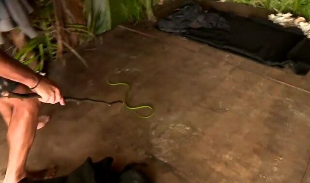 Survivor 4: Ένα φίδι έφερε πανικό στην καλύβα των “Κόκκινων”