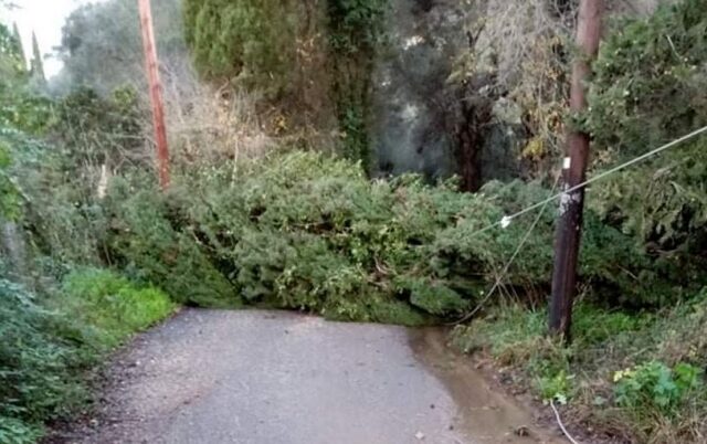 Κέρκυρα: Σάρωσε η κακοκαιρία – Έπεσαν δέντρα, κόπηκε το ρεύμα