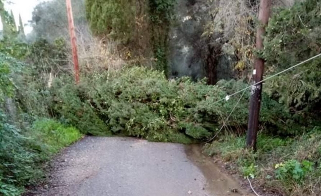 Κέρκυρα: Σάρωσε η κακοκαιρία – Έπεσαν δέντρα, κόπηκε το ρεύμα