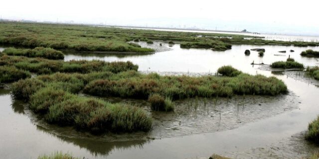 Θεσσαλονίκη: Συναγερμός στο δήμο Δέλτα, μετά από την υπερχείλιση του Γαλλικού Ποταμού