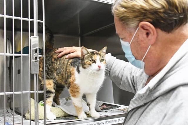 Εξάψυχη -πλέον- γάτα εμφανίστηκε τρία χρόνια μετά τον “θάνατό” της