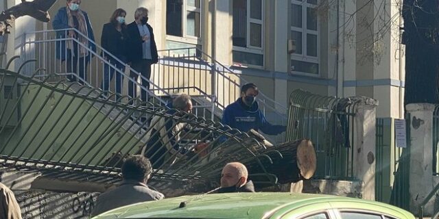 Θεσσαλονίκη: Δέντρο έπεσε σε αυλή δημοτικού σχολείου – Δεν τραυματίστηκαν μαθητές