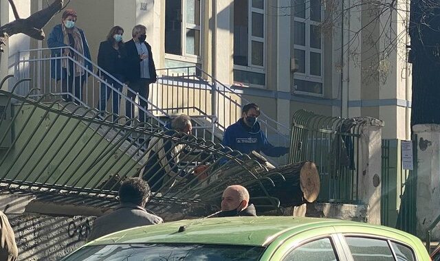 Θεσσαλονίκη: Δέντρο έπεσε σε αυλή δημοτικού σχολείου – Δεν τραυματίστηκαν μαθητές