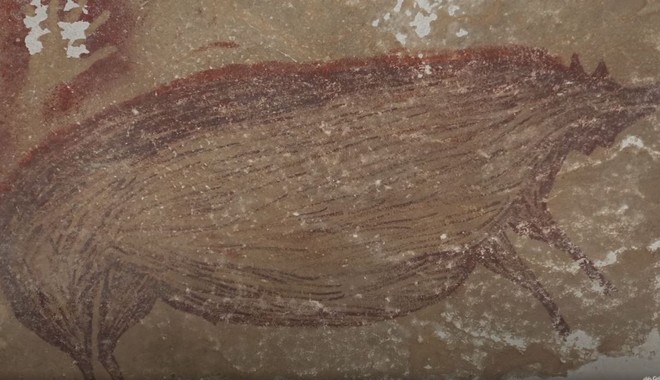Ινδονησία: Αγριόχοιρος 50 χιλιάδων ετών – Αυτή είναι η αρχαιότερη σπηλαιογραφία ζώων