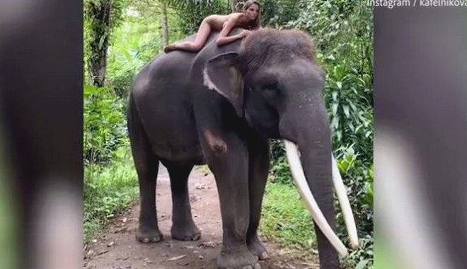 Κατακραυγή για Ρωσίδα influencer που πόζαρε γυμνή πάνω σε ελέφαντα της Σουμάτρας