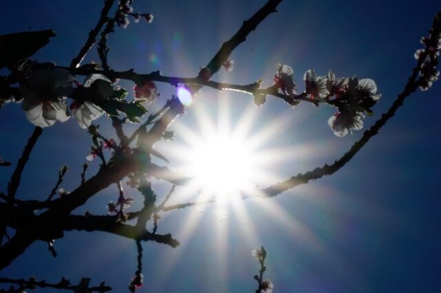 Θερμοκρασία: Με θετικό πρόσημο φεύγει ο Φεβρουάριος – Πώς θα είναι στο ξεκίνημα ο Μάρτης