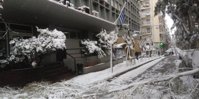 Κακοκαιρία Μήδεια: Εκχιονιστικό στο Κολωνάκι και πτώση δέντρων στον Ευαγγελισμό