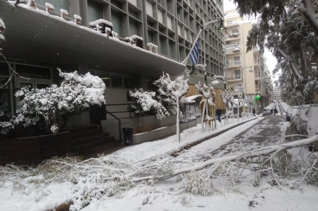 Κακοκαιρία Μήδεια: Εκχιονιστικό στο Κολωνάκι και πτώση δέντρων στον Ευαγγελισμό