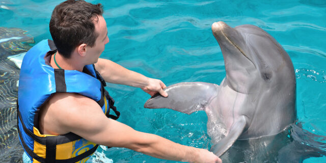 Τα δελφίνια έχουν παρόμοια χαρακτηριστικά προσωπικότητας με τους ανθρώπους