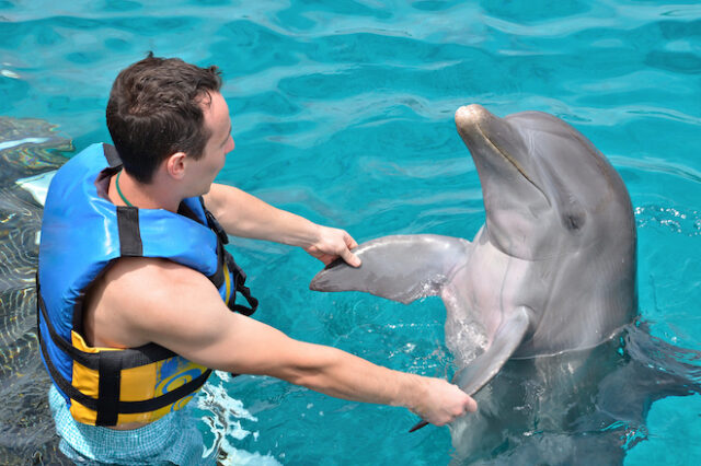 Τα δελφίνια έχουν παρόμοια χαρακτηριστικά προσωπικότητας με τους ανθρώπους