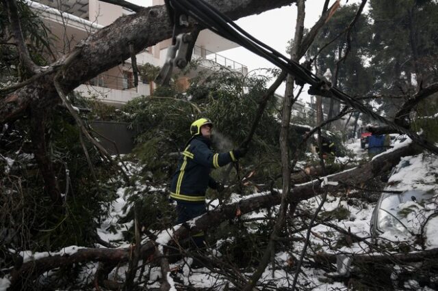 Κακοκαιρία “Μήδεια”: Σε κατάσταση έκτακτης ανάγκης κηρύχτηκε και ο Ωρωπός