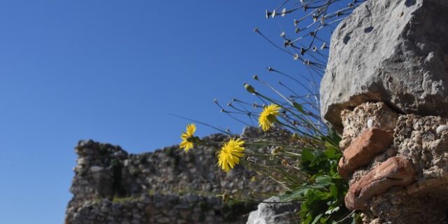 Καιρός: Λίγες νεφώσεις με αρκετή ηλιοφάνεια