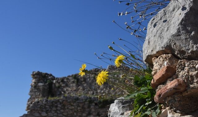 Καιρός: Λίγες νεφώσεις με αρκετή ηλιοφάνεια