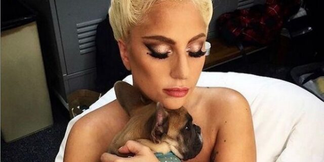 Lady Gaga: Βρέθηκαν τα δύο μπουλντόγκ της που είχαν απαχθεί