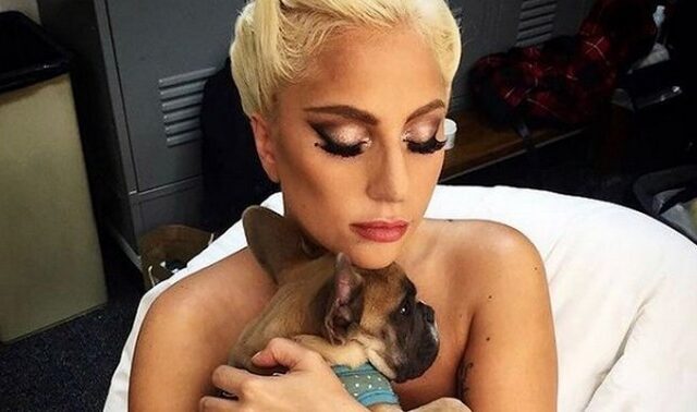 Lady Gaga: Βρέθηκαν τα δύο μπουλντόγκ της που είχαν απαχθεί
