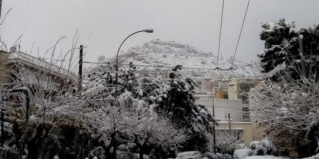 Οι χιονοπτώσεις στην Αθήνα και τα χαρακτηριστικά τους – Πώς επηρεάζονται κατασκευές και δέντρα