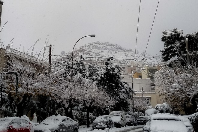 Οι χιονοπτώσεις στην Αθήνα και τα χαρακτηριστικά τους – Πώς επηρεάζονται κατασκευές και δέντρα
