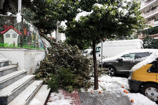 Κακοκαιρία “Μήδεια”: Παραμένει ο κίνδυνος γενικευμένου μπλακ άουτ στο σύστημα ηλεκτροδότησης