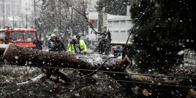 Επίσπευση έργων εκσυγχρονισμού των δικτύων ρεύματος, κατόπιν… διακοπής