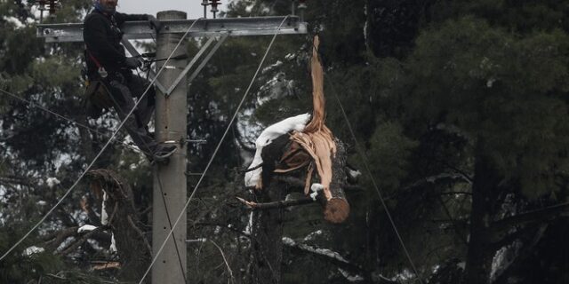 Κακοκαιρία Μήδεια: 400 νοικοκυριά παραμένουν χωρίς ρεύμα στα βόρεια προάστια