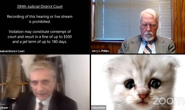Δικηγόρος ενεργοποίησε κατά λάθος φίλτρο γάτας σε ακροαματική διαδικασία από Zoom