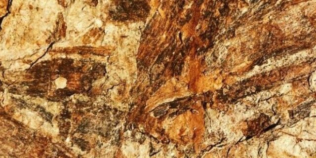 Κως: Μουσείο απολιθωμάτων και πετρωμάτων χάρη σε 19χρονο φοιτητή