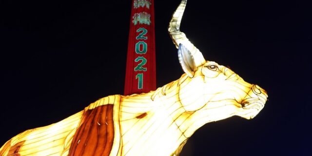 Κινέζικη Πρωτοχρονιά: Σήμερα ξεκινά το Έτος του Βούβαλου