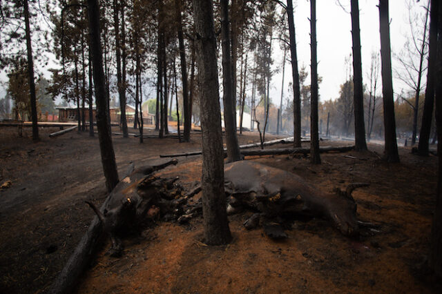 Αργεντινή: Αγνοούμενοι και εκατοντάδες κατεστραμμένα σπίτια από πυρκαγιές στην Παταγονία