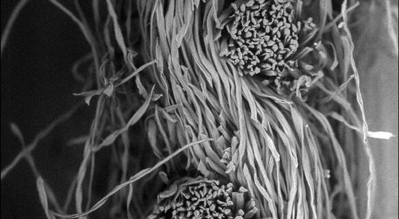 Τι κρύβουν οι μάσκες που φοράμε και ποιο ύφασμα να προτιμάμε