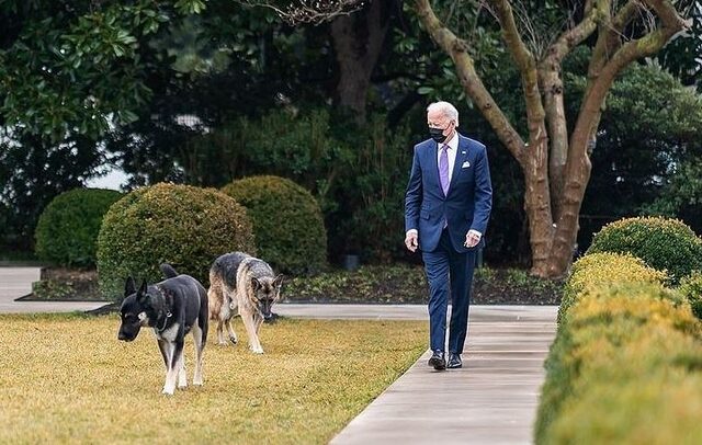 Λευκός Οίκος: Επιστρέφει ο σκύλος του Μπάιντεν που “απολύθηκε”