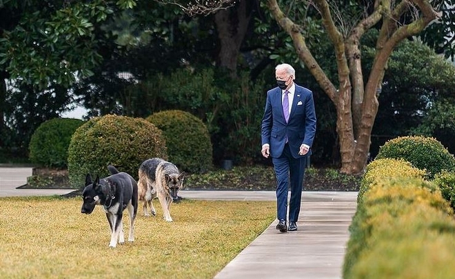 Λευκός Οίκος: Επιστρέφει ο σκύλος του Μπάιντεν που “απολύθηκε”