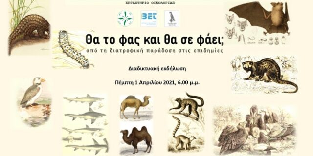 Μεζέ νυχτερίδας, κάμπια γιαχνί και πτερύγιο καρχαρία “σερβίρουν” φοιτητές του Πανεπιστημίου Ιωαννίνων