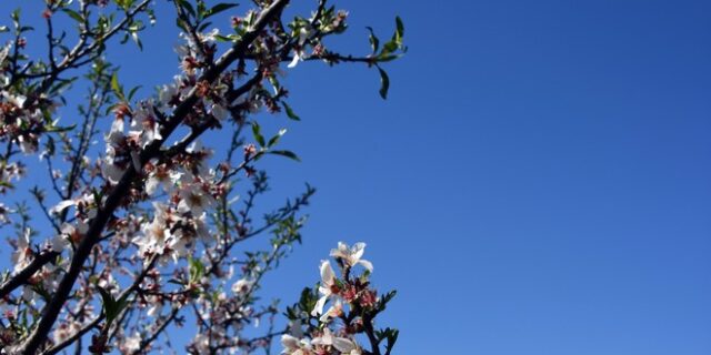 Καιρός: Πώς θα εξελιχθεί μέχρι την Καθαρά Δευτέρα