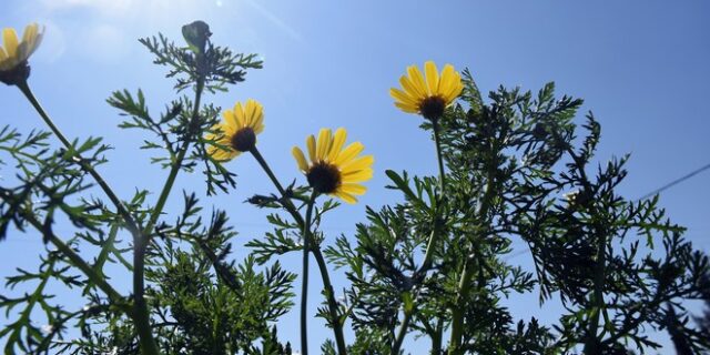 Καιρός: Τοπικές νεφώσεις κατά περιόδους αυξημένες την Τρίτη