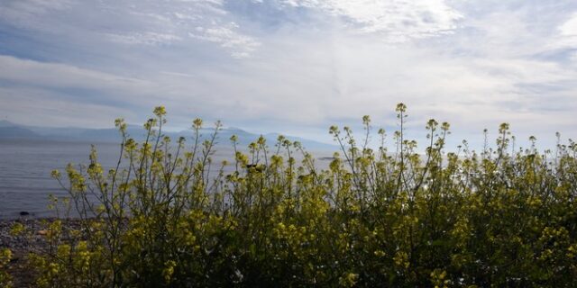 Καιρός: Νεφώσεις, βροχές και σκόνη την Κυριακή