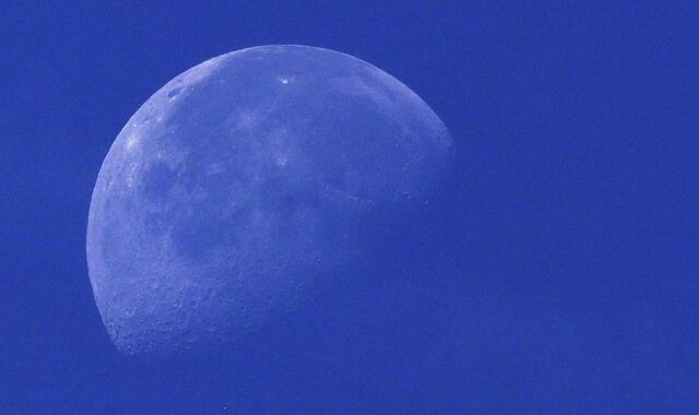 Επιστήμονες θέλουν να στείλουν 6.7 εκατομμύρια είδη στο φεγγάρι ‘για παν ενδεχόμενο’