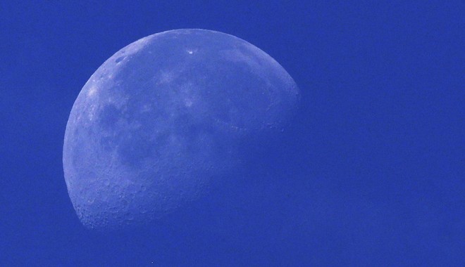 Επιστήμονες θέλουν να στείλουν 6.7 εκατομμύρια είδη στο φεγγάρι ‘για παν ενδεχόμενο’