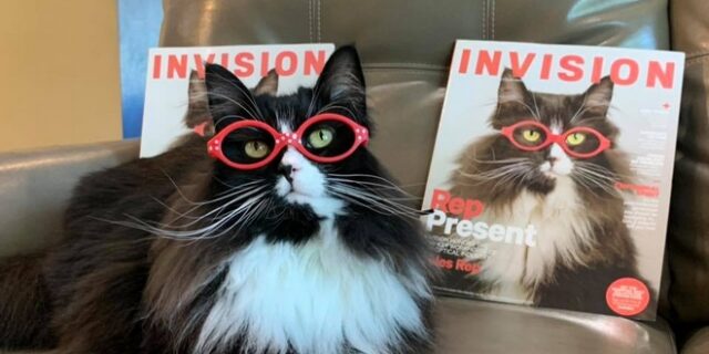 Γάτα φοράει γυαλιά για να βοηθήσει παιδιά να αισθάνονται άνετα